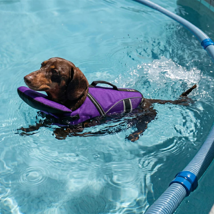 PaddlePup Life Jacket