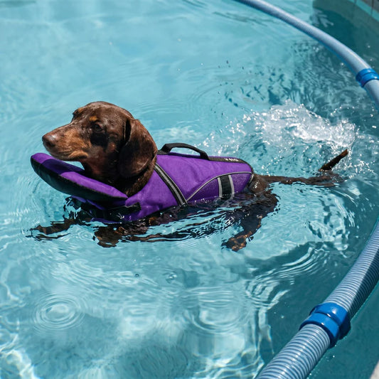 PaddlePup Life Jacket